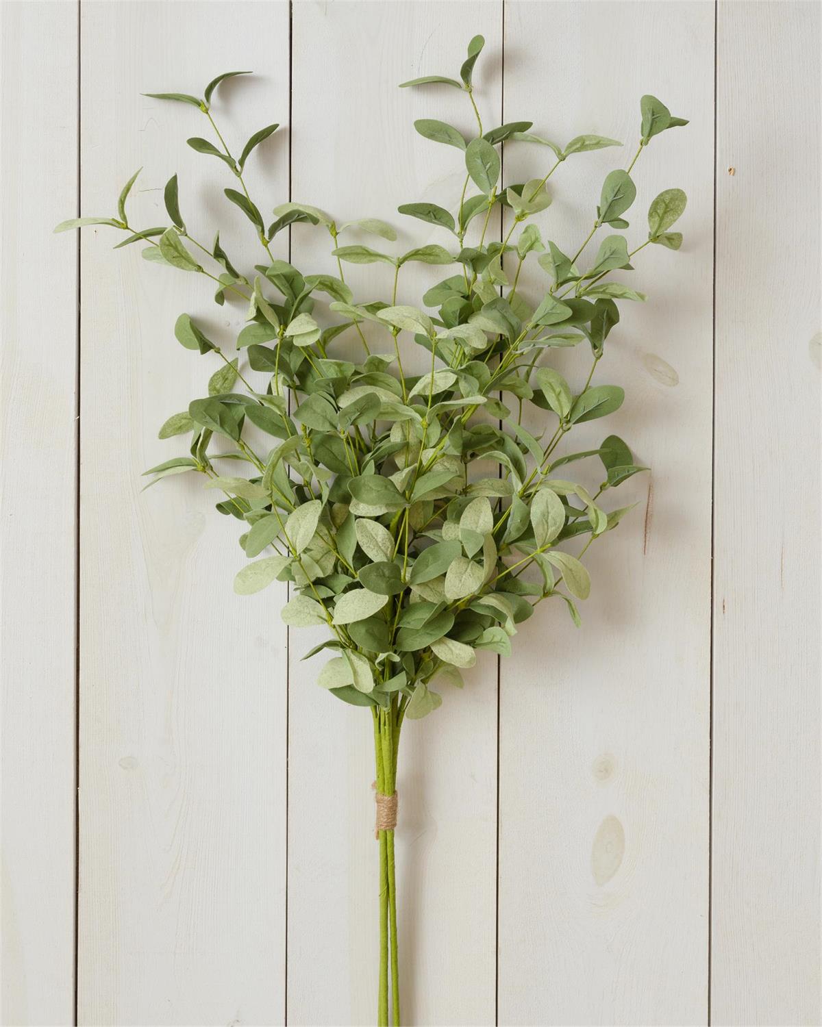Shades of Green stem