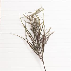 Pick - Dark Wild Reed