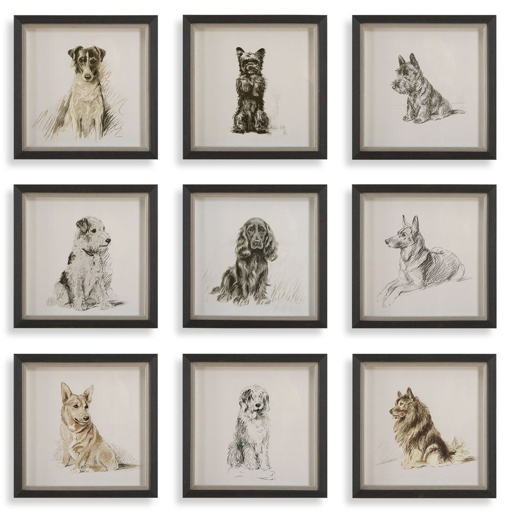 Loyal Companion Prints