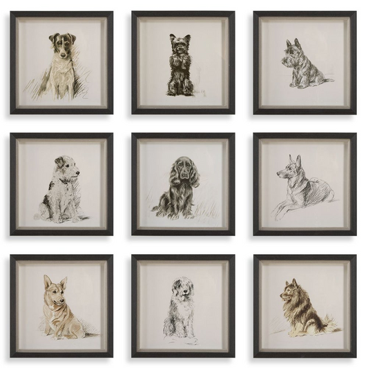 Loyal Companion Prints