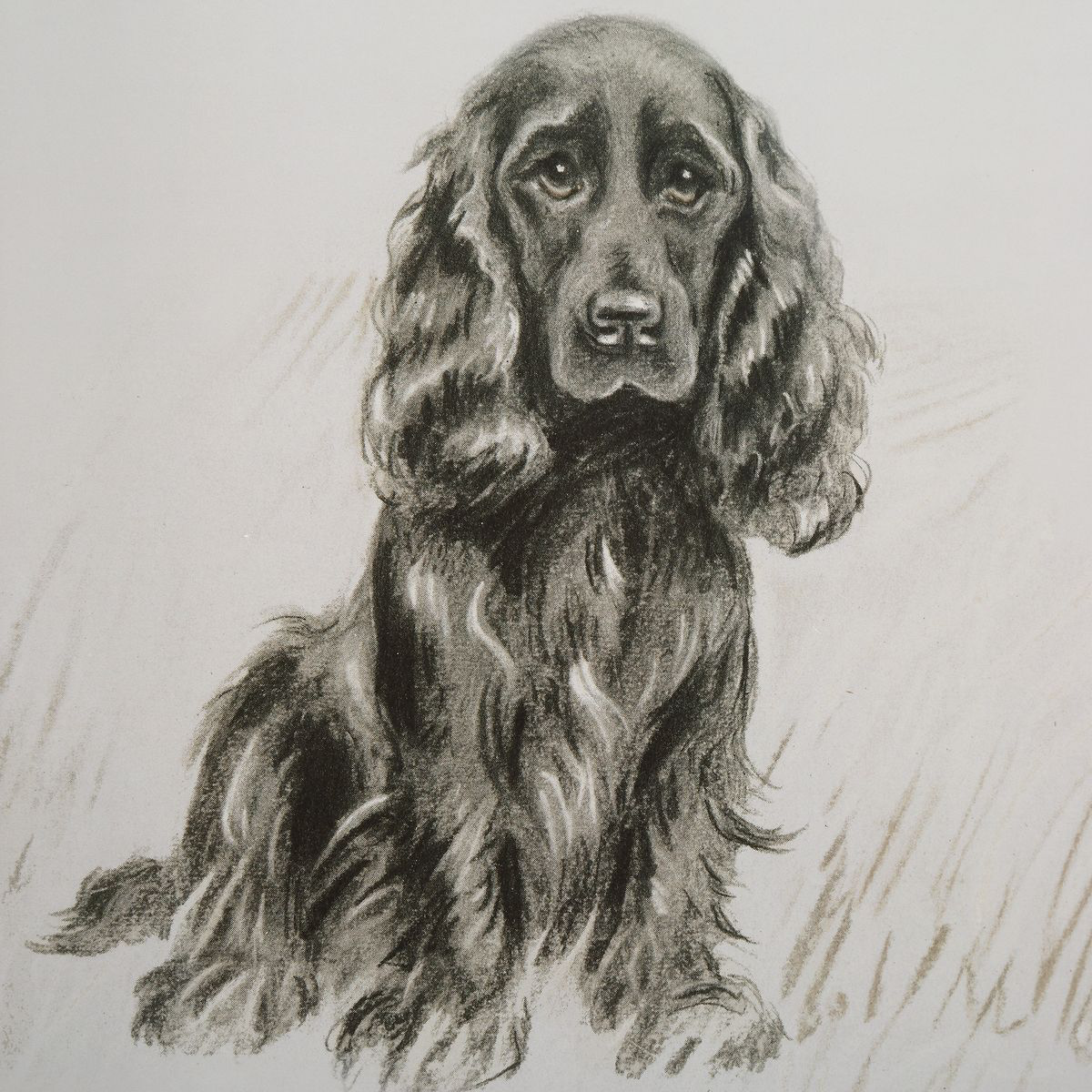 Loyal Companion Prints