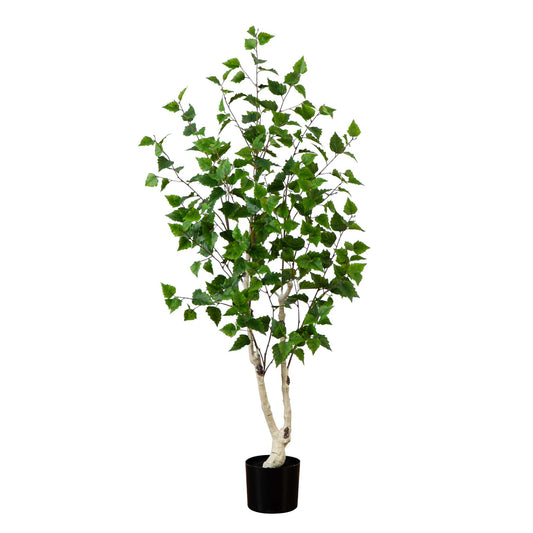 5' Birch Tree