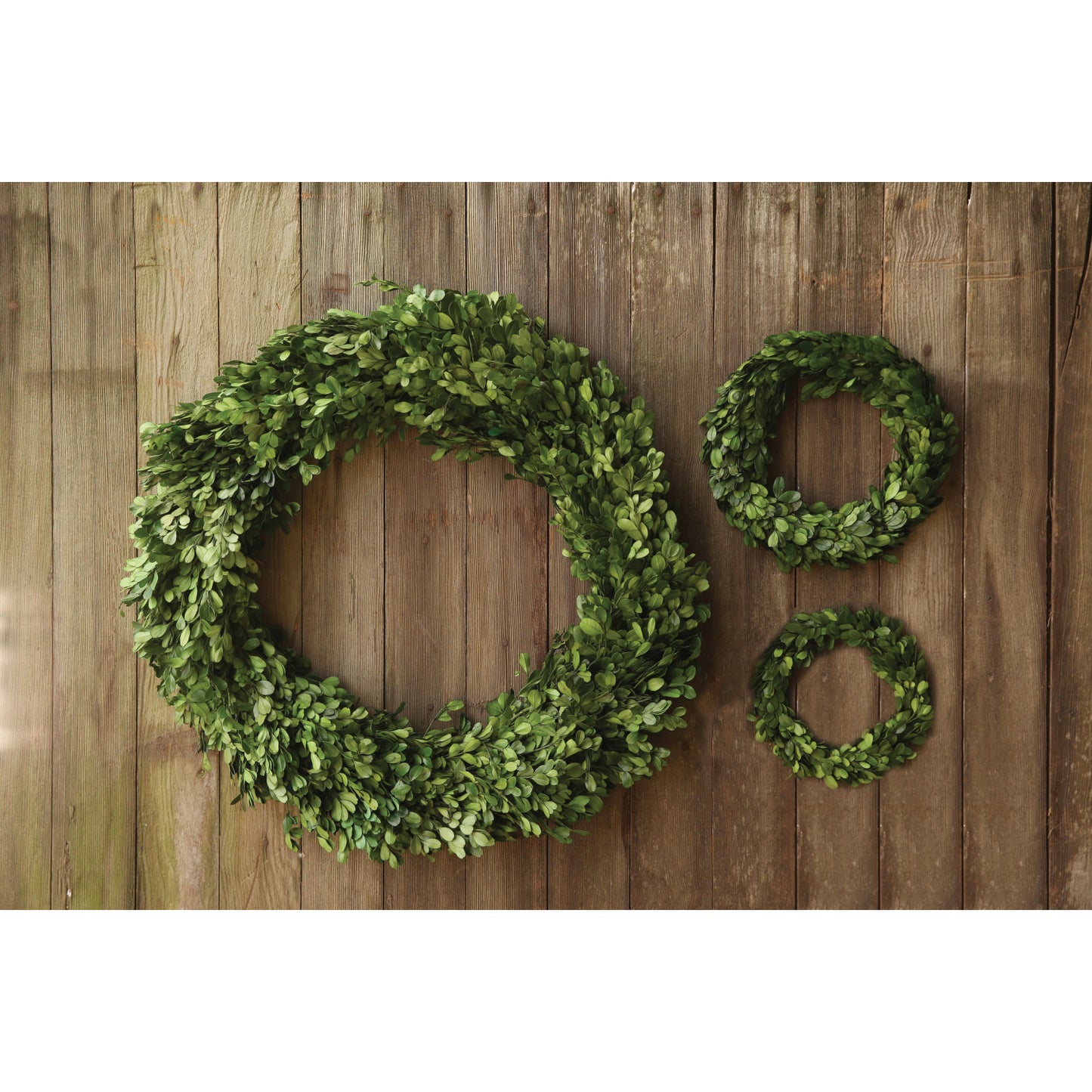 Mini Boxwood Wreath
