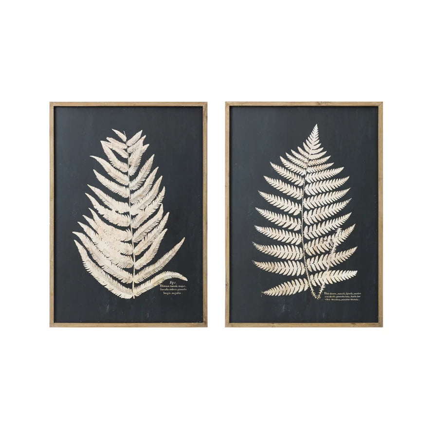 Fern Leaf Framed Photo