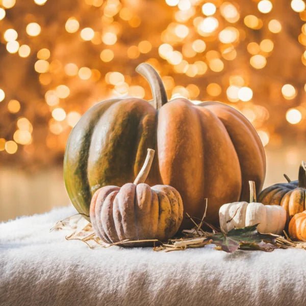 22 oz Pumpkin Cashmere