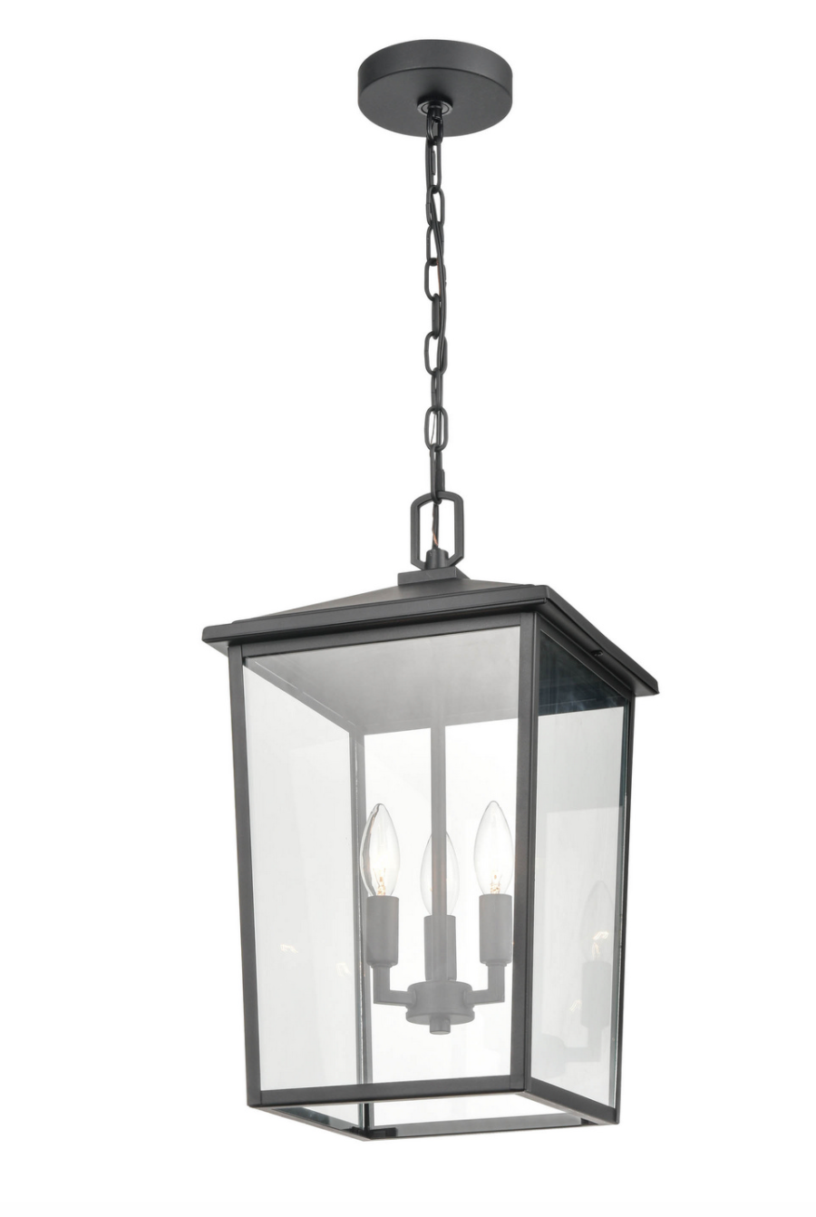 Fetterton Outdoor Hanging Lantern