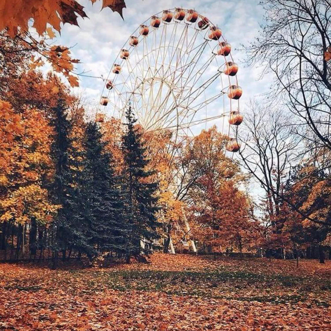 Autumn Leaves