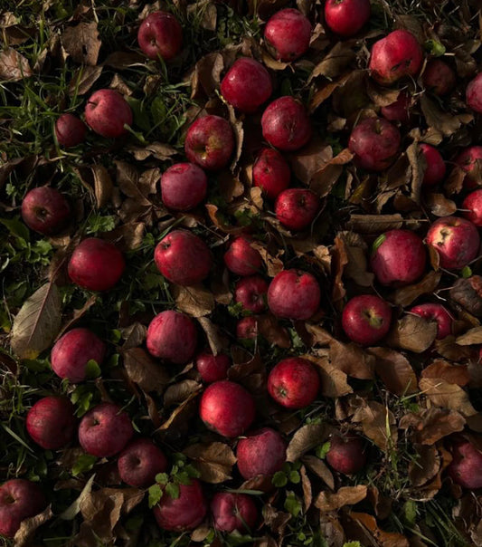 Woodland Apple 40 oz