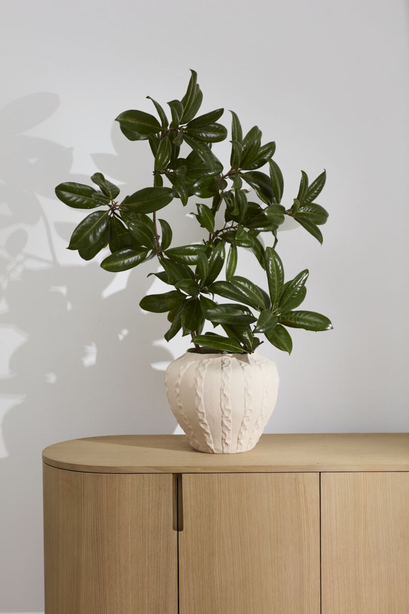 Argos Vase