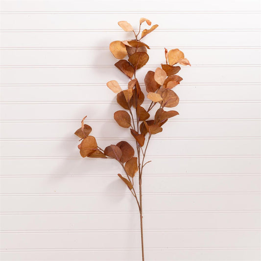 Brown Eucalyptus Spray