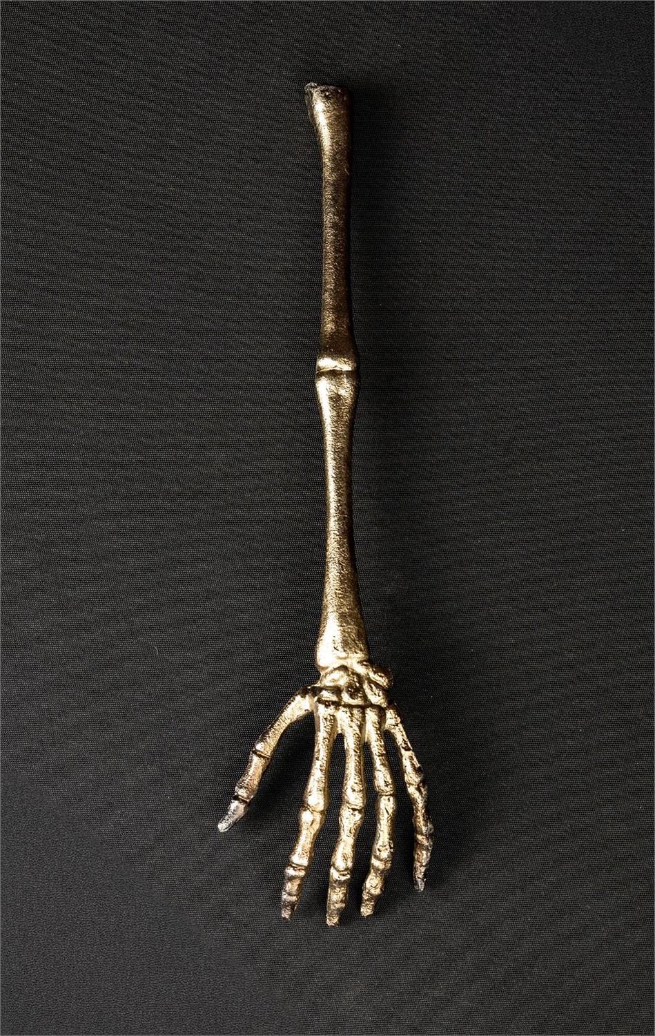 Skeleton Hand Curio