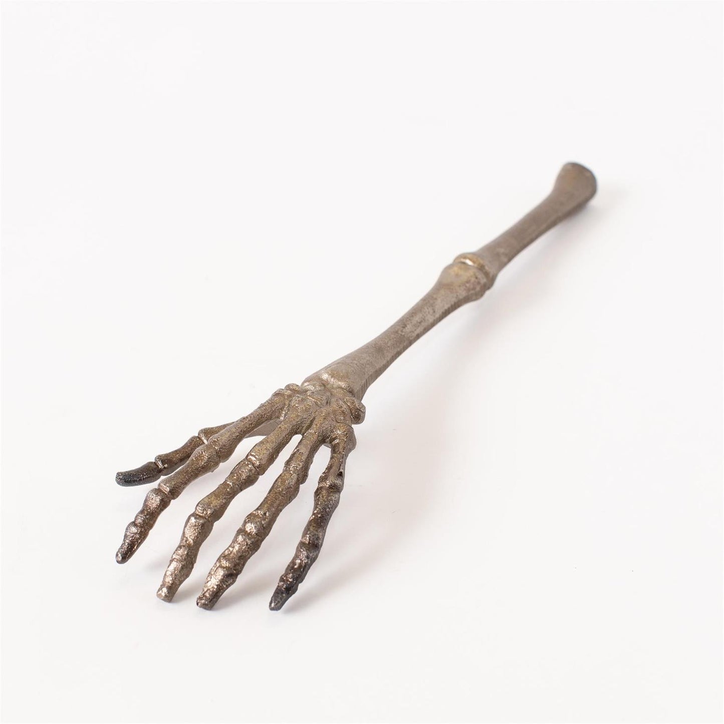 Skeleton Hand Curio