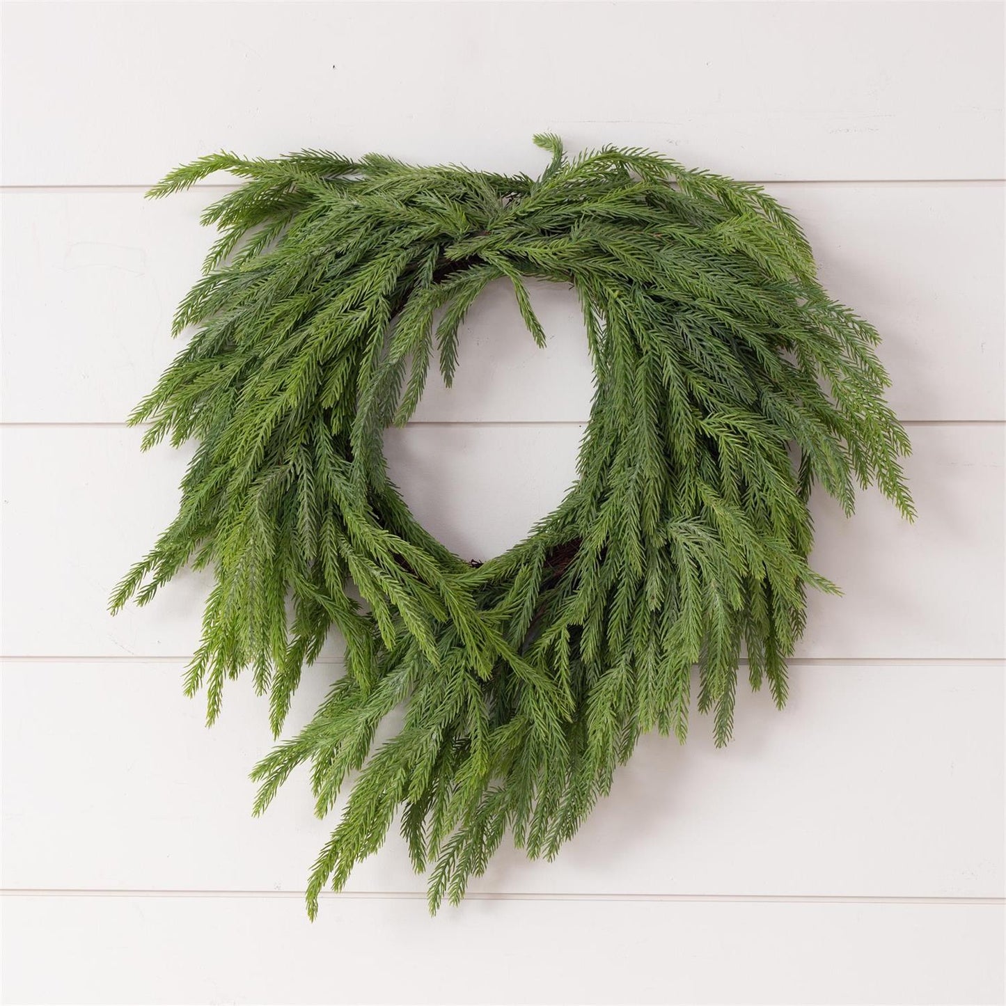 Wreath - Real Touch Norfolk Pine
