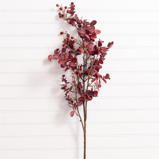 Red Eucalyptus Branch