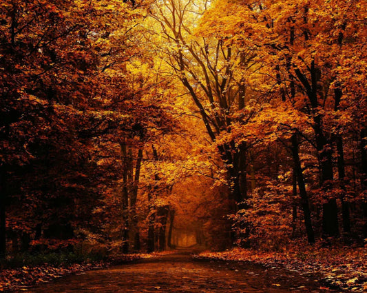 2 Wick Always Autumn