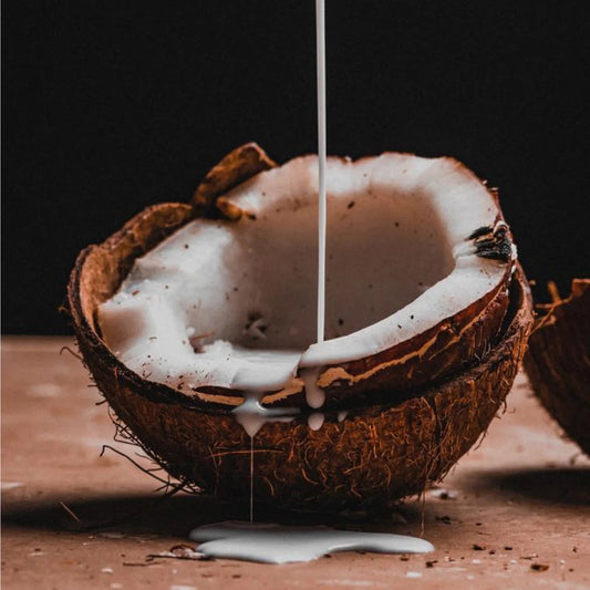 40 oz Key West Coconut