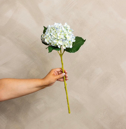 Blue Hydrangea Stem
