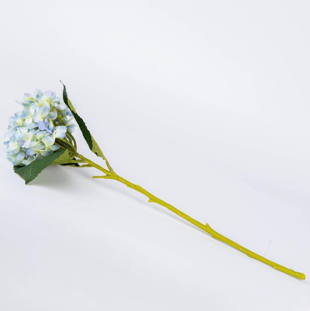 Blue Hydrangea Stem