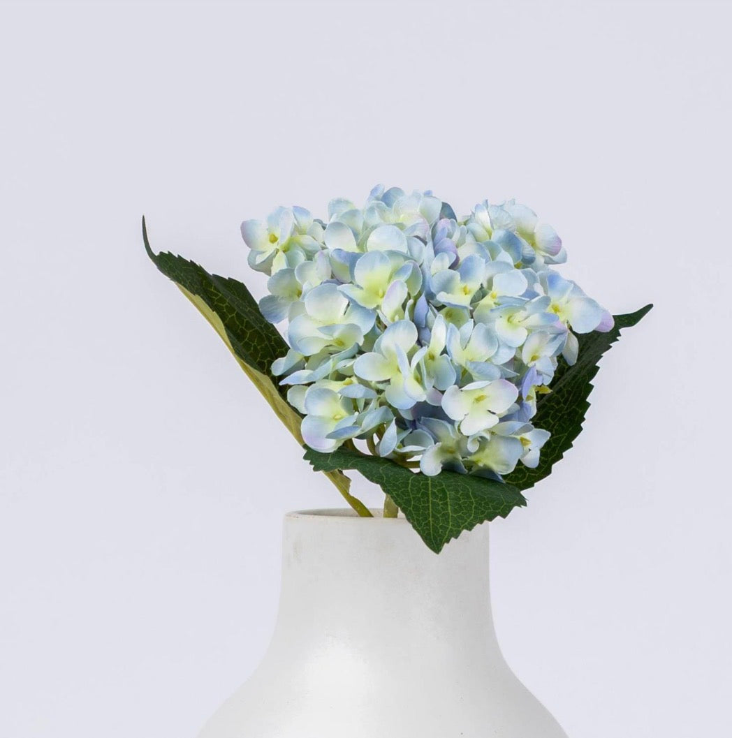 Blue Hydrangea Stem