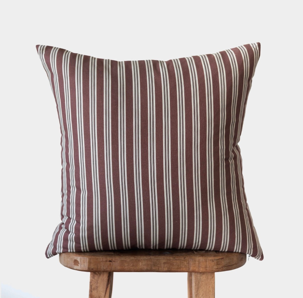Hearth Pillow Case-22”