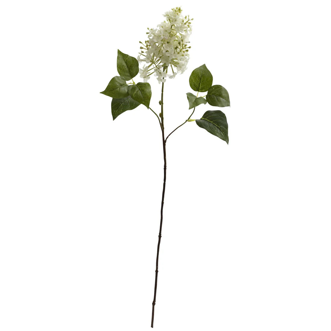 Lilac Stem- White