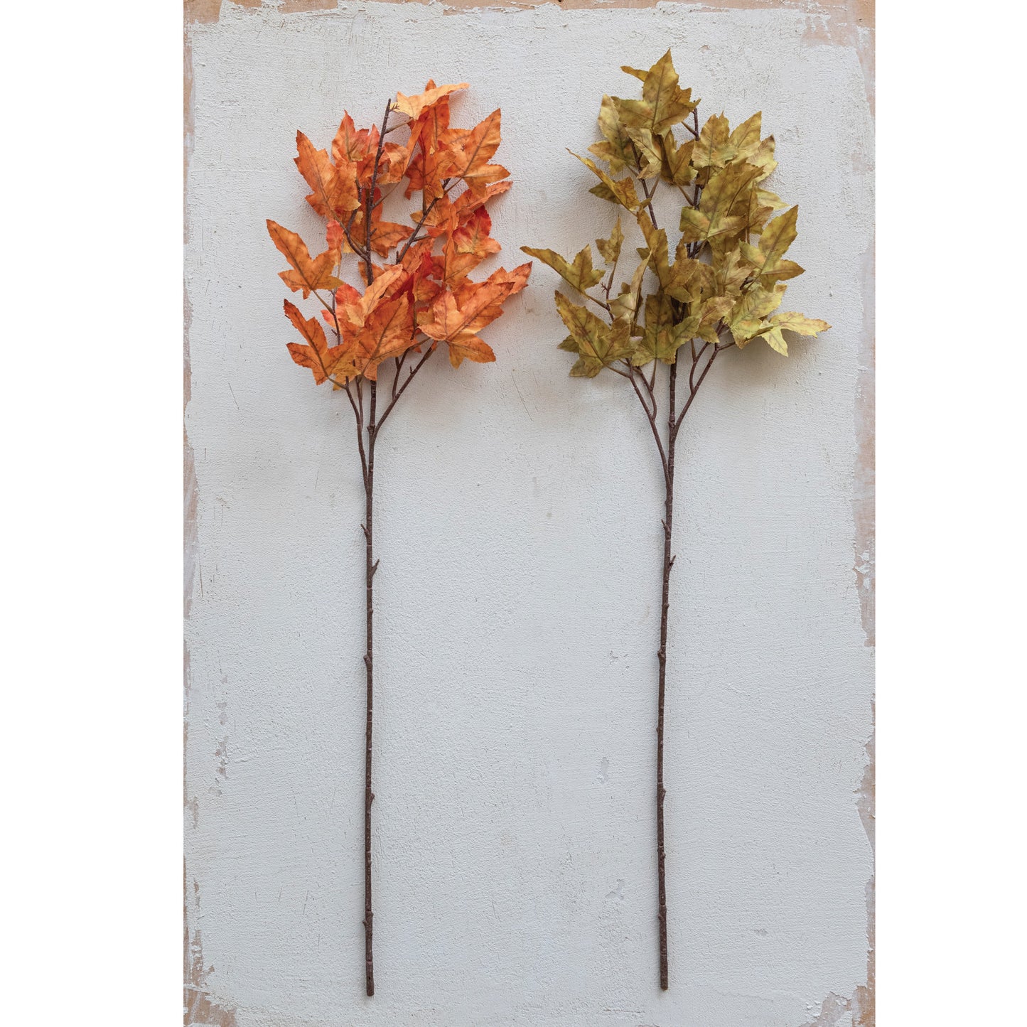 Maple Leaf Branches