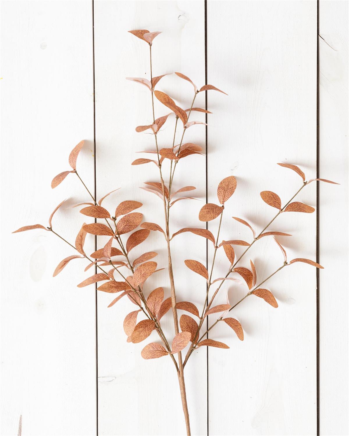 Cocoa Fall Foliage