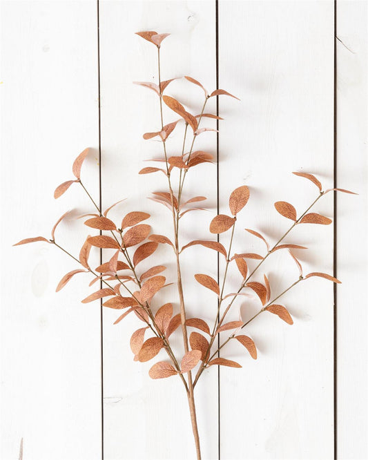 Cocoa Fall Foliage