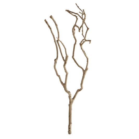 Natural Tea Tree Branch