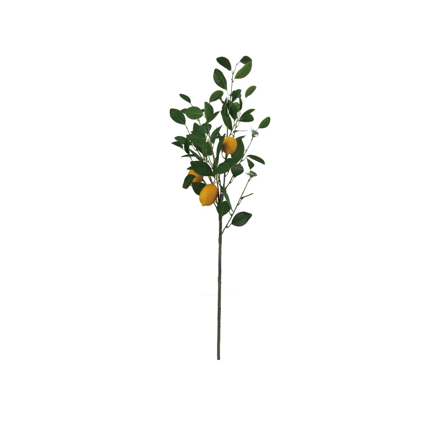 Faux Lemon Tree Branch