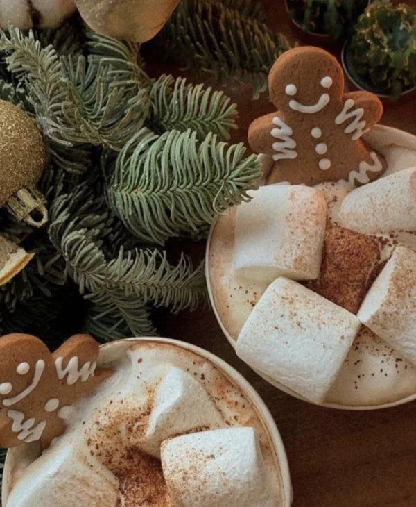 Perfect Christmas-22 oz