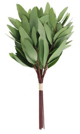 Eucalyptus Bundle